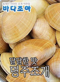 ǰ 