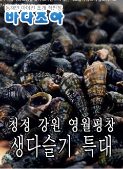 ǰ 
