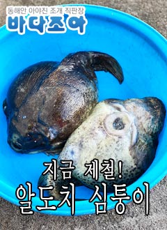 ǰ 