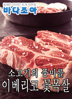 ǰ 