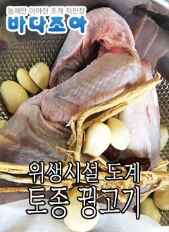 ǰ 